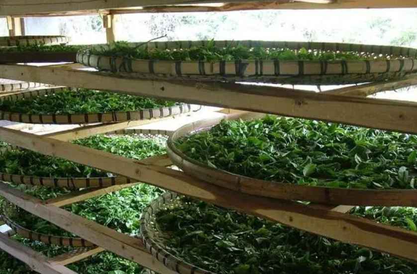 建造茶葉冷庫過程中需要注意哪些事項？