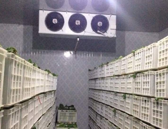 冷庫工程施工驗收標準