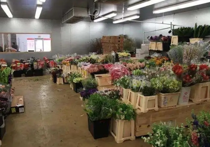 不同種類的鮮花對冷庫溫度的要求一樣嗎？